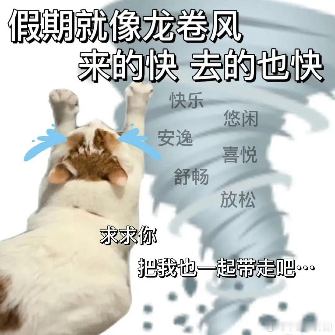 五一五天假过的比我半天班都快大家假期都看了哪些好看的言情文[舔屏] ​ ​​​