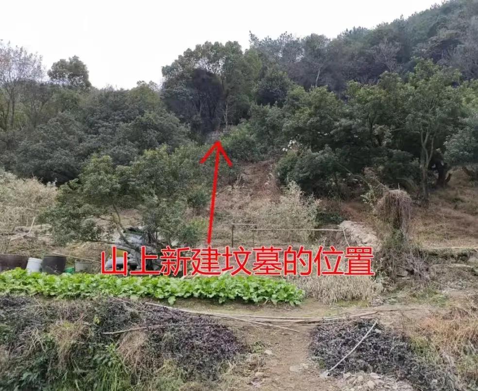 2024年12月，浙江某小区旁突然冒出一座坟墓！居民崩溃：“房子几百万买的，一想