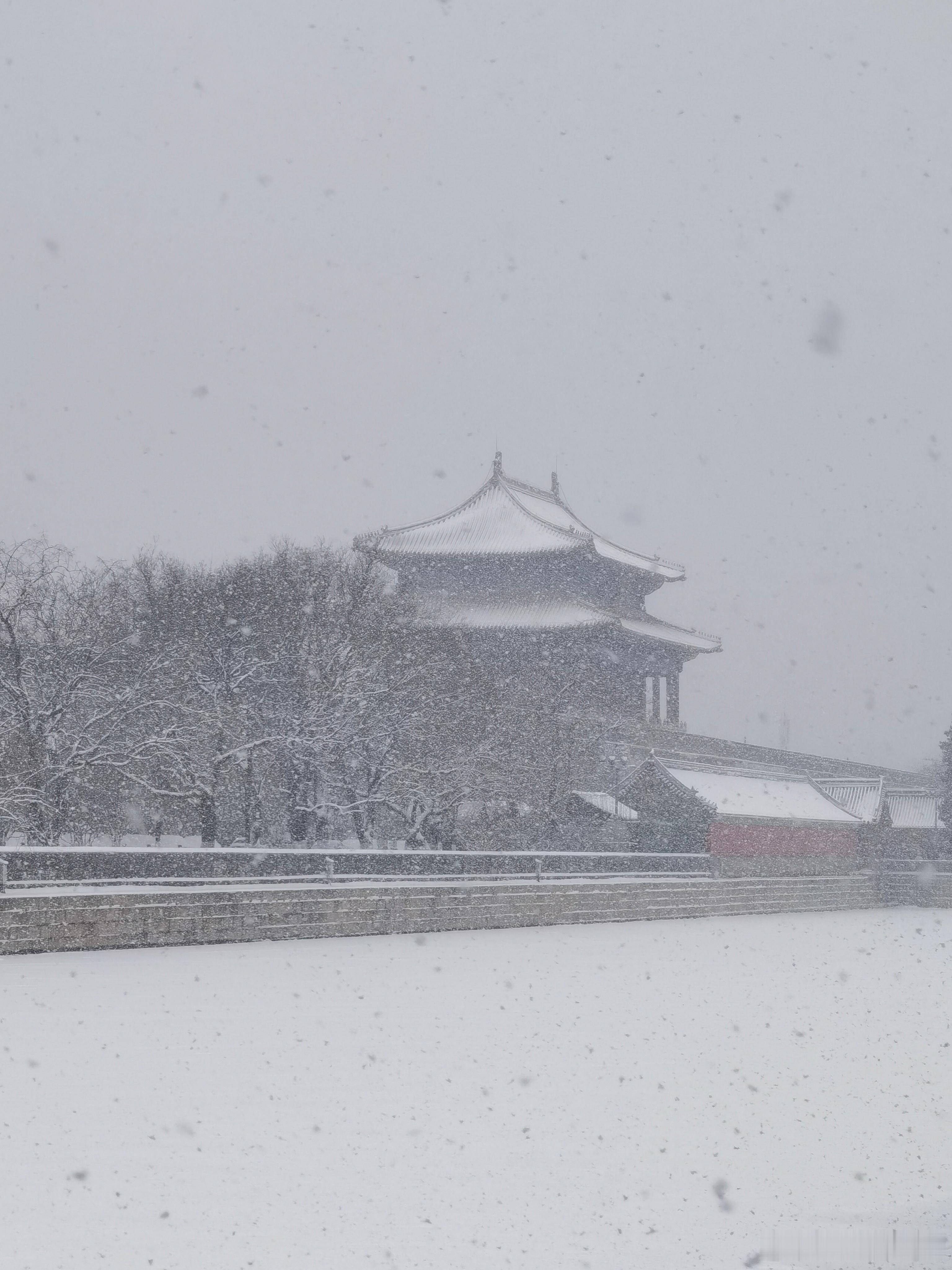 故宫雪景，一丝清凉#古建筑[超话]#  ​​​