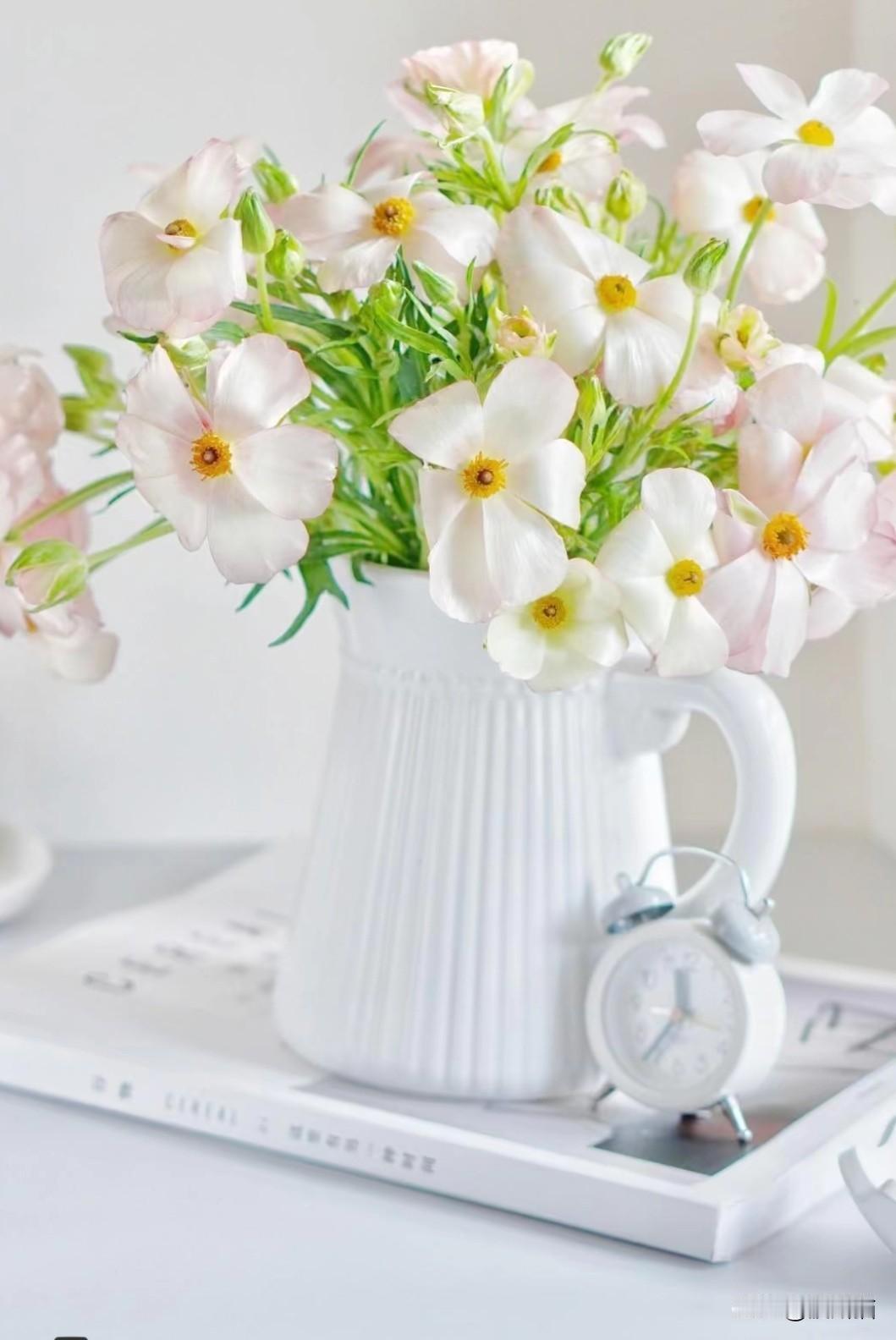 我和老公太不一样了。比如做饭，我是吃完这顿就已想好下一顿做啥，提前把食材买好，冰