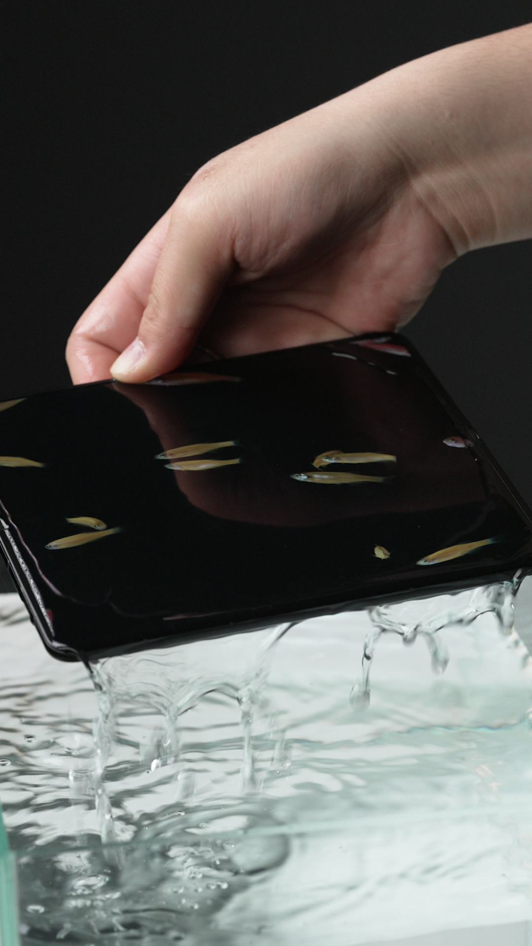 Find N6用了两个月之后……看得见的防水，看不见的折痕！