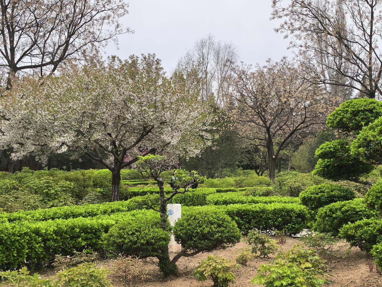 菜园菜多到吃不完，琢磨着再养一群鸡
 
当初开荒种菜，本意就是图个新鲜，自家吃点
