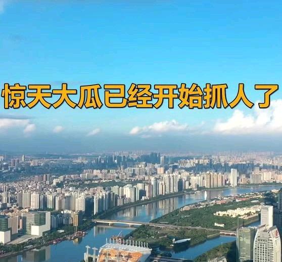 《惊天大瓜，已经开始抓人了》惊天大瓜，已经开始抓人了 ​​​