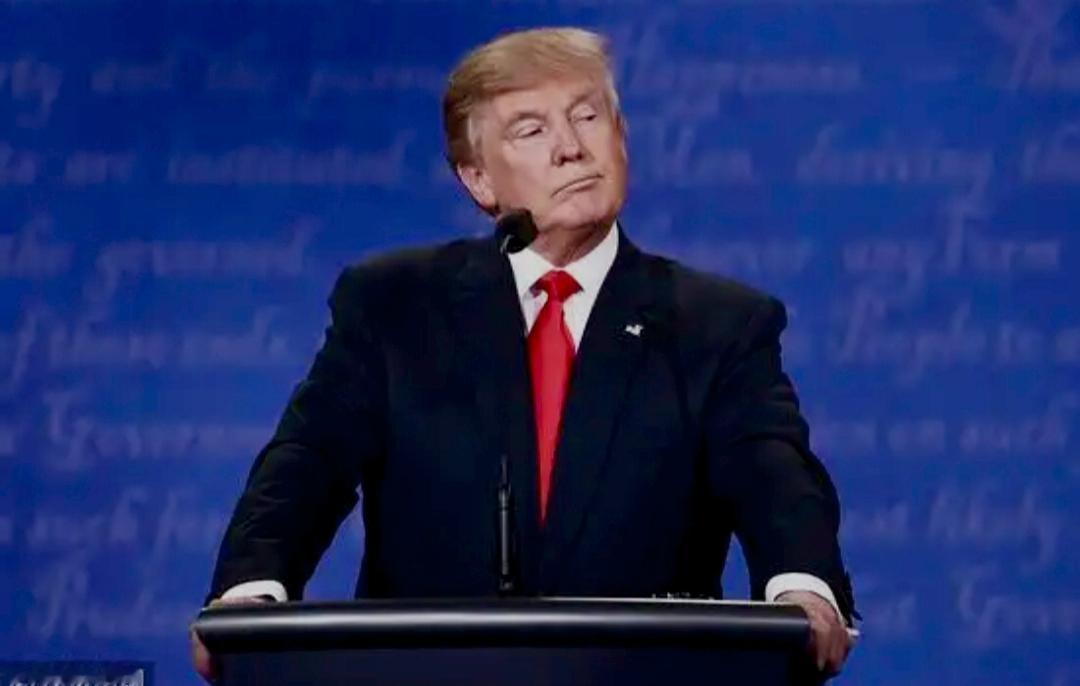 伦敦IMO会议那出戏，算是把美国的霸权底裤扒得干干净净。连一向对西方宽容的英国《