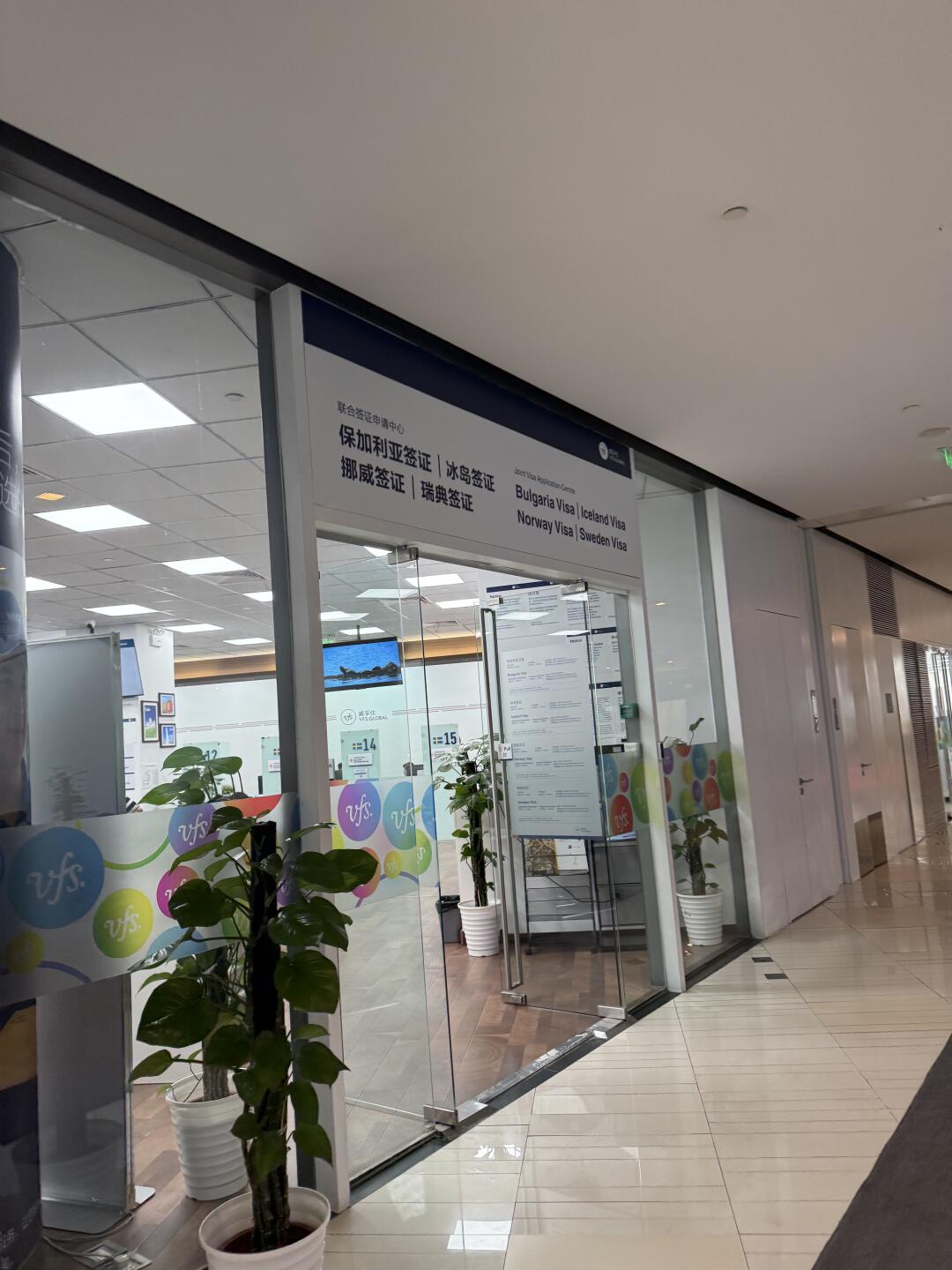 别管了 先办签证