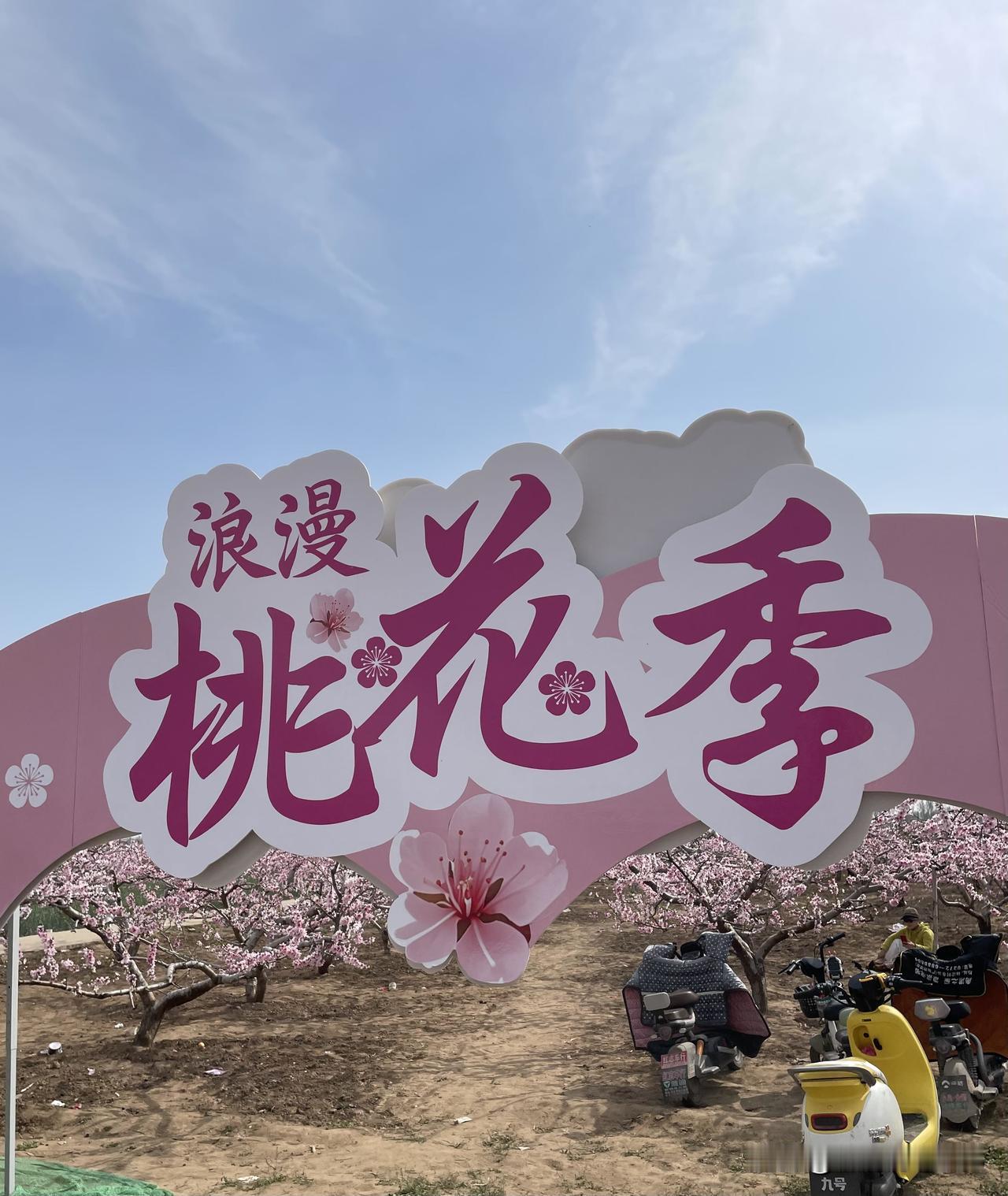“豫见桃花·曲韵豆公”文化旅游周盛大开幕！