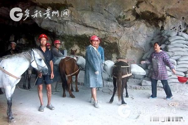 1993年，贵州一女子为爱嫁进大山深处，不料，儿子3个月大时生病，夫妻只能翻山越
