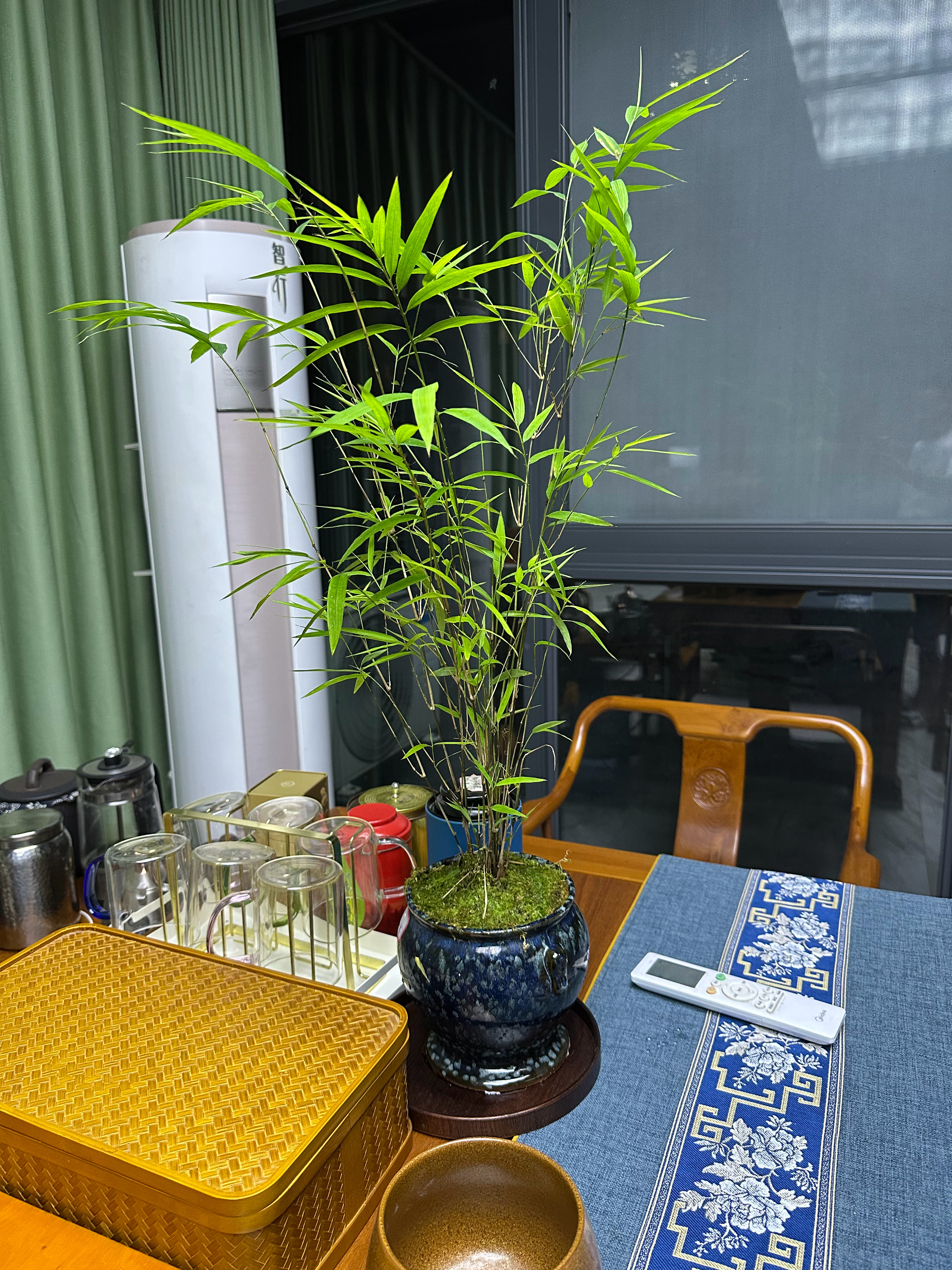 八十块钱网购的，好看吧？ ​​​