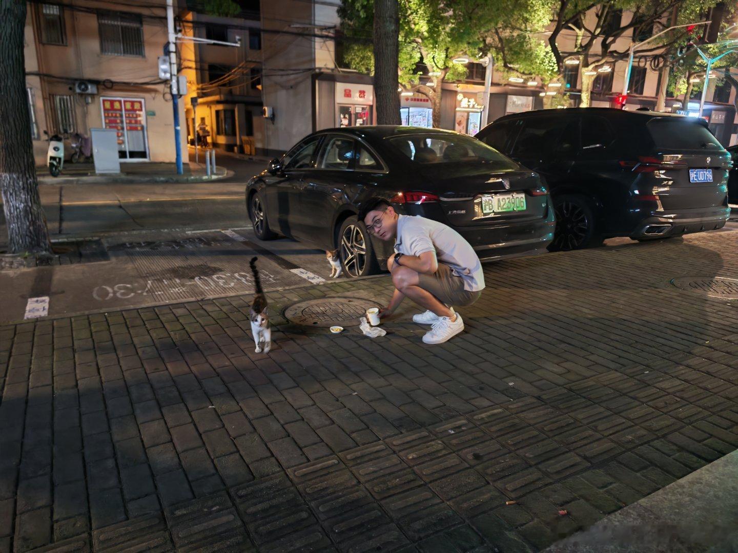 见到野猫就忍不住逗一下的男人