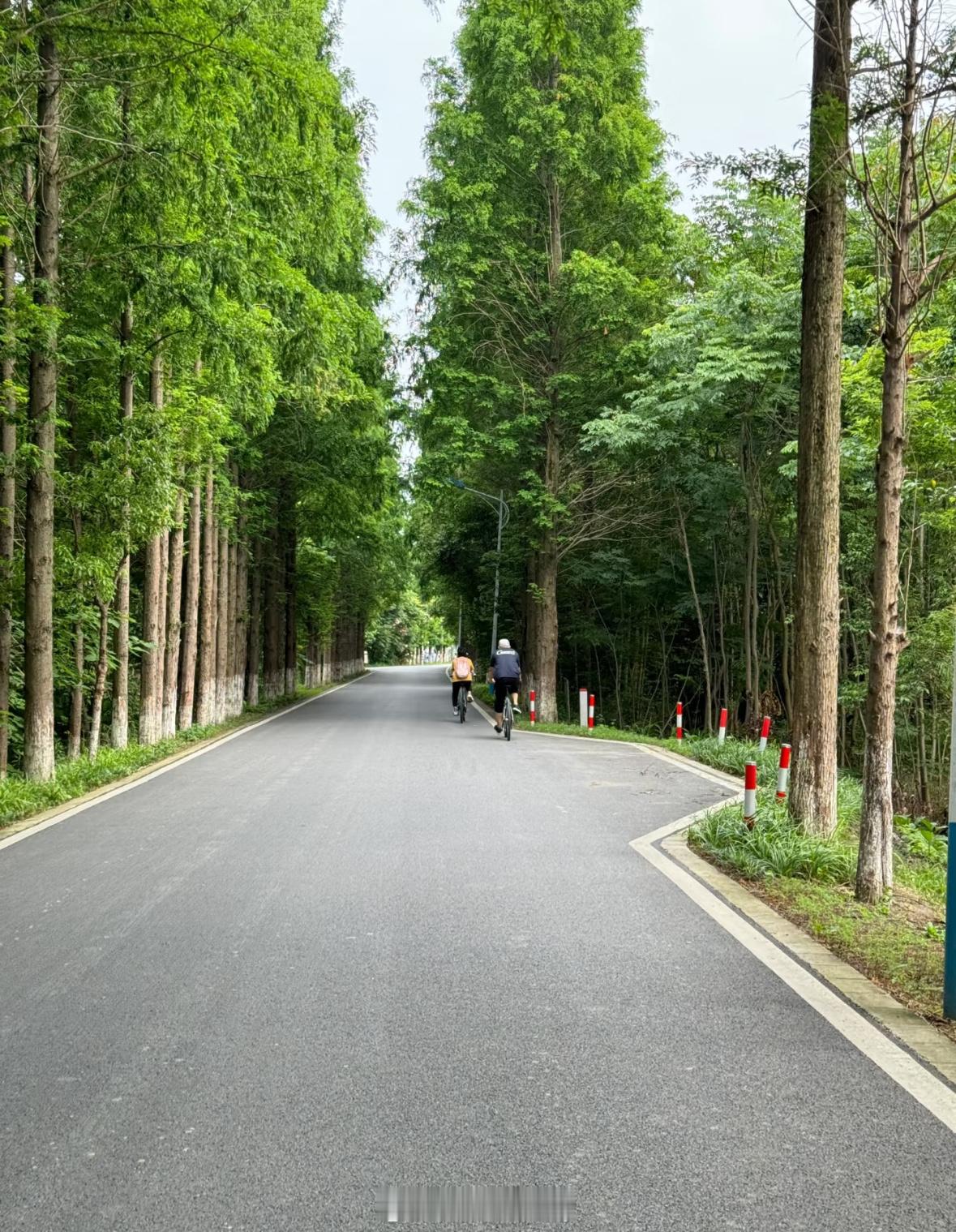 上海淀山湖户外骑行～这么好的天怎么能不运动起来呢？ 