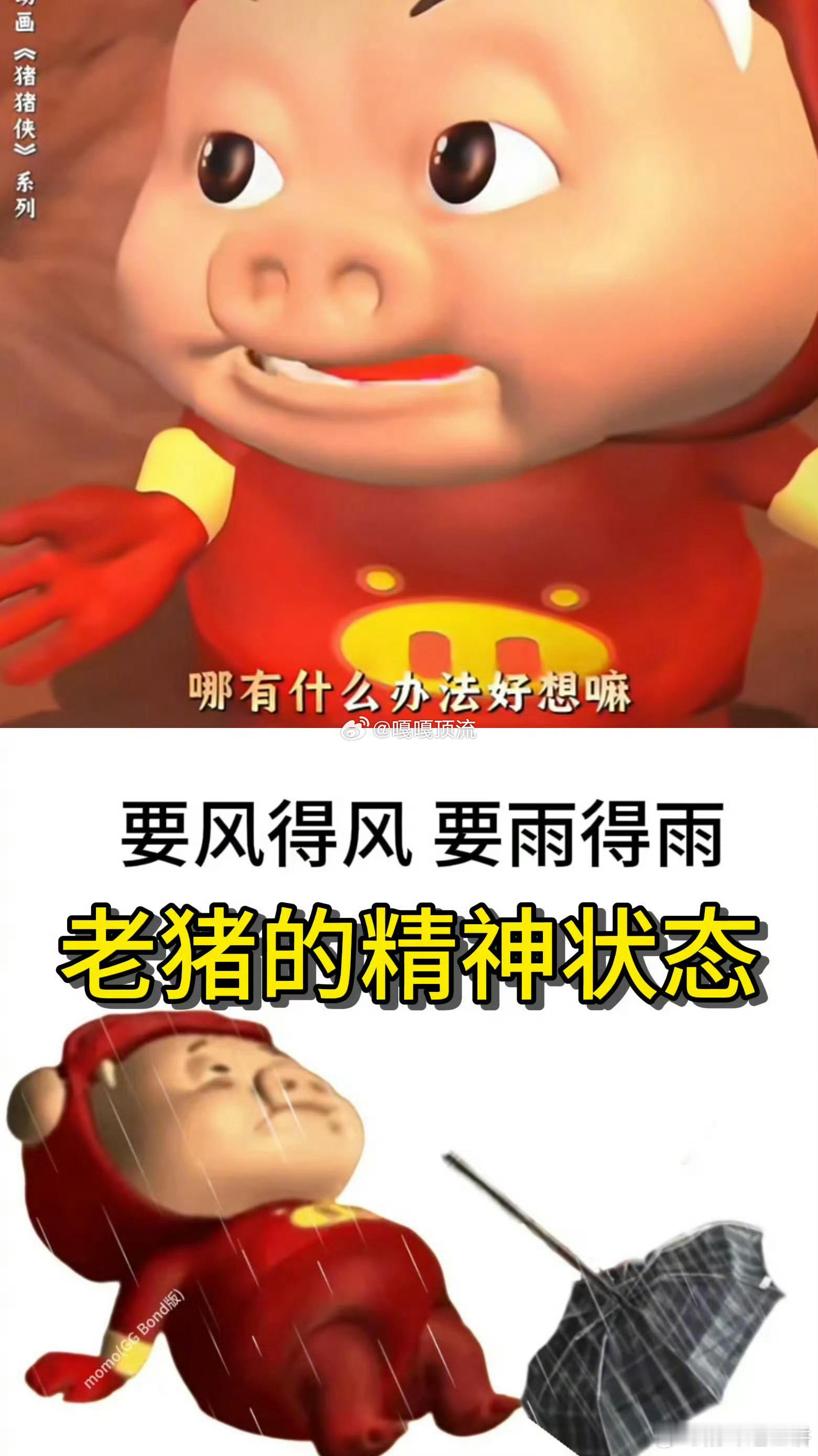 这小猪是我的精神年假下雨天困在家没法散步，窝在地毯上重刷老猪剧情，竟被它的小波折