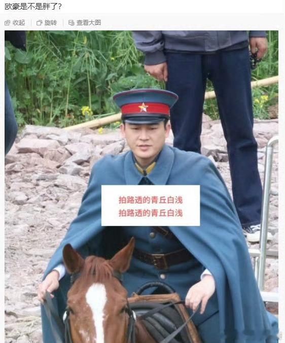 看小图我以为是张颂文