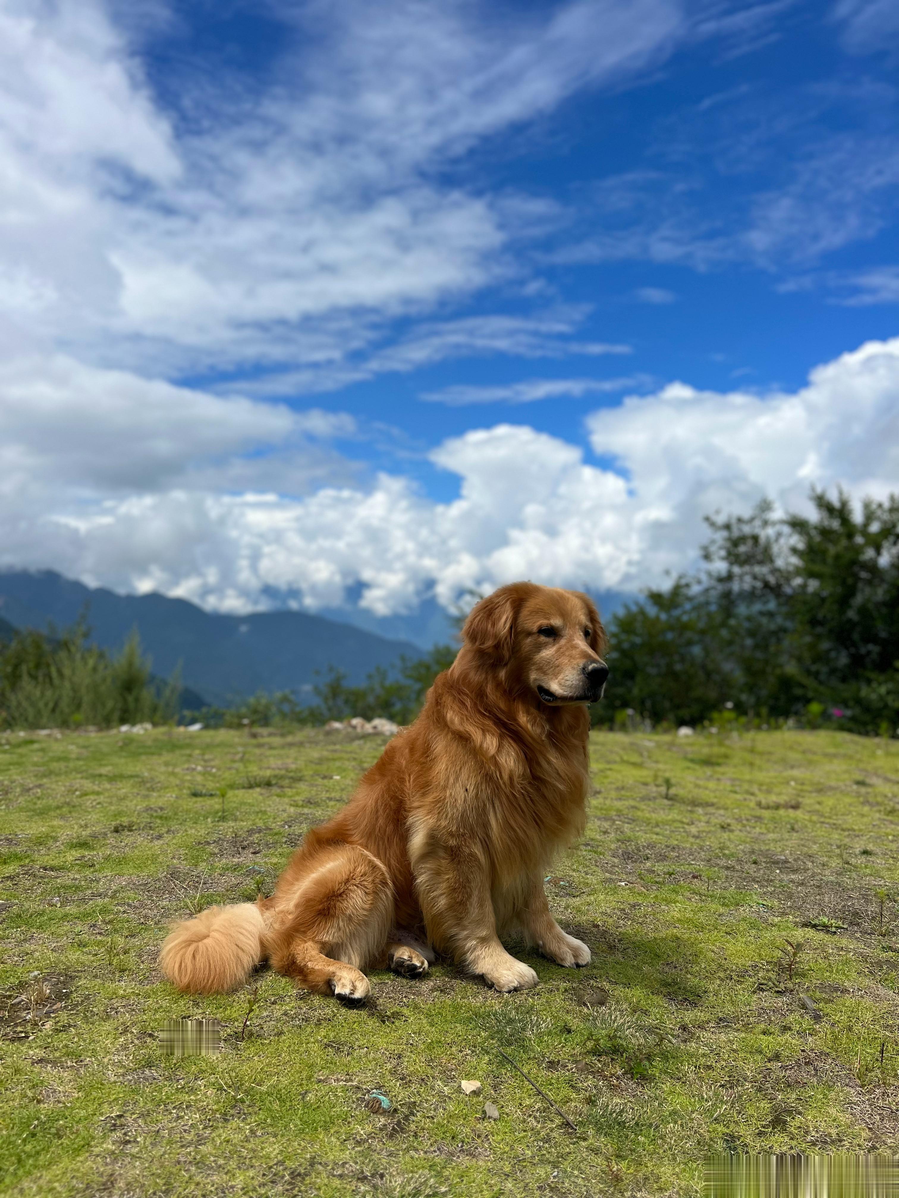 图一牛背山，图二新都桥。牛背山拉尿尿都要求他多走两步，新都桥姥姥你别急我还能走五