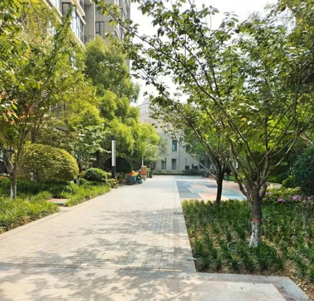 女同事38了，985大学毕业，一直没结过婚。两个月前刚买了套60多万的小房子，忽