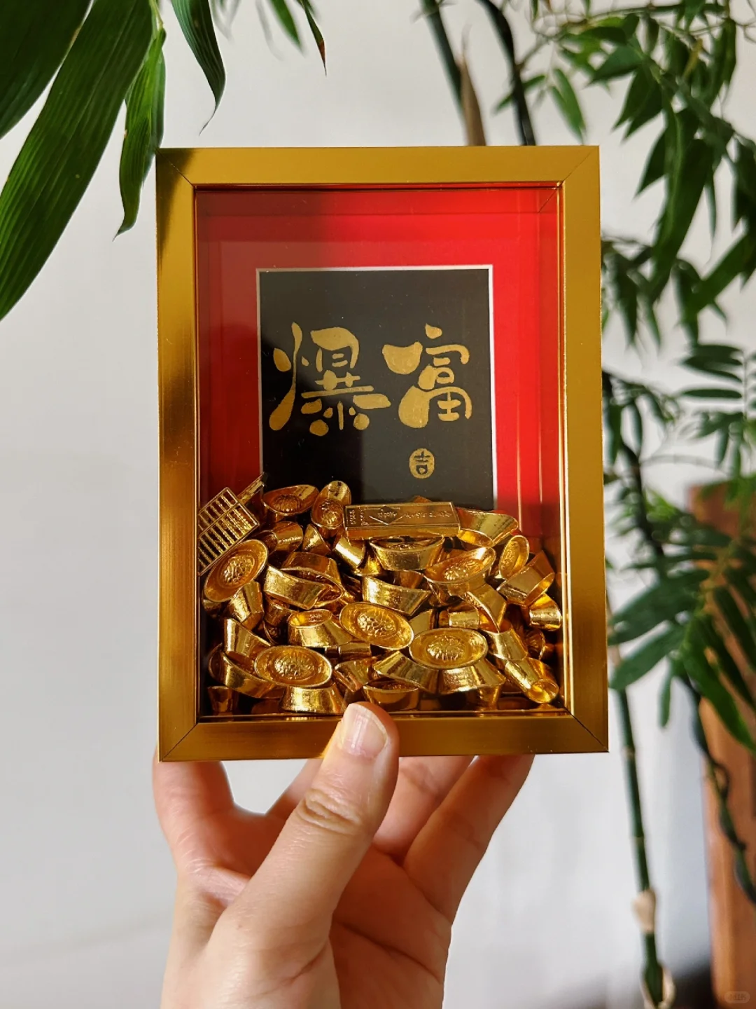 用心生活，用力向上