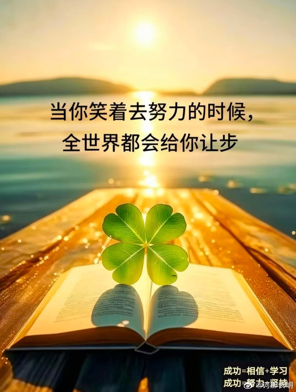 相信：笑着努力的人，运气都不会太差。当你笑着去努力的时候，全世界都会给你让步。带