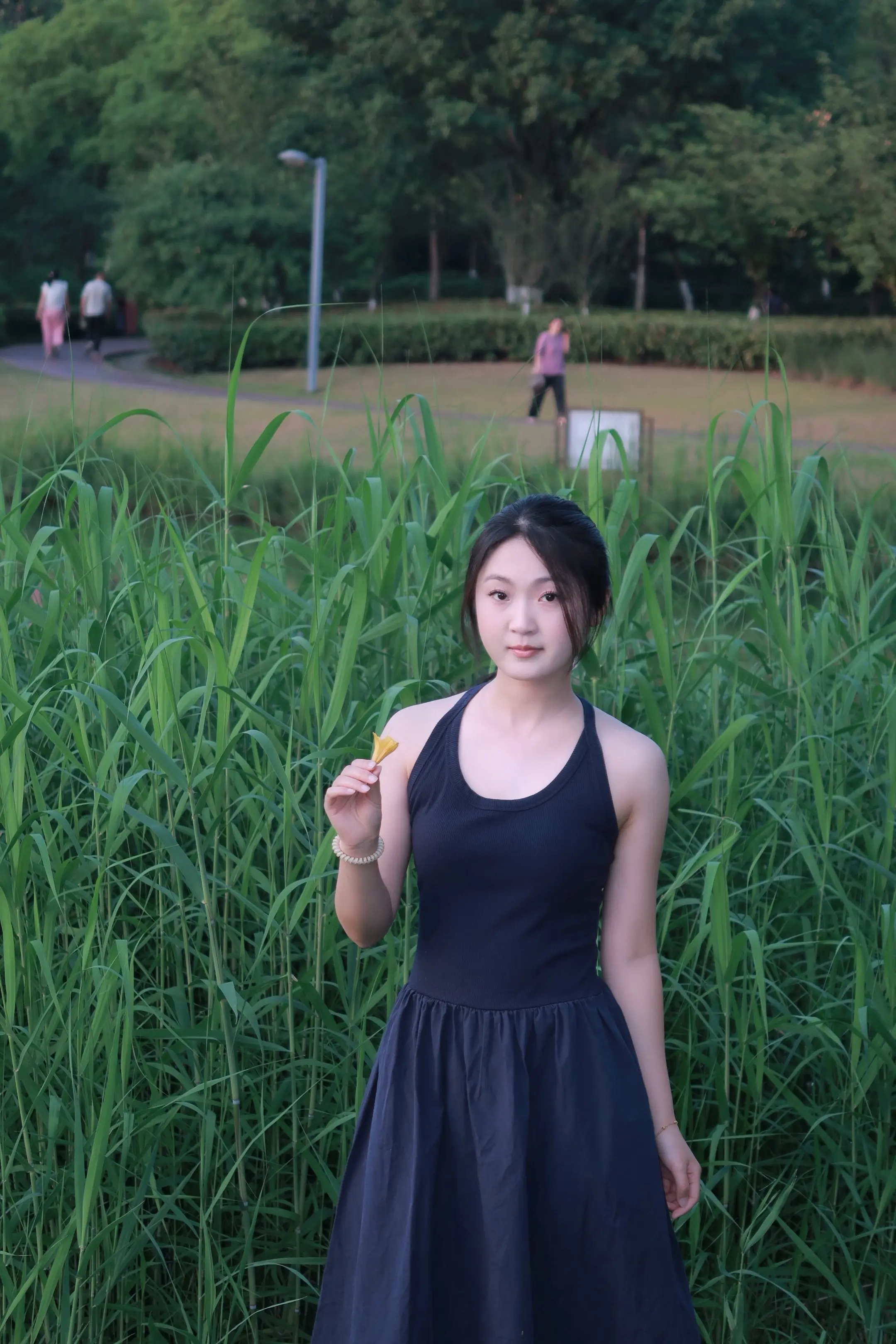绿色心情