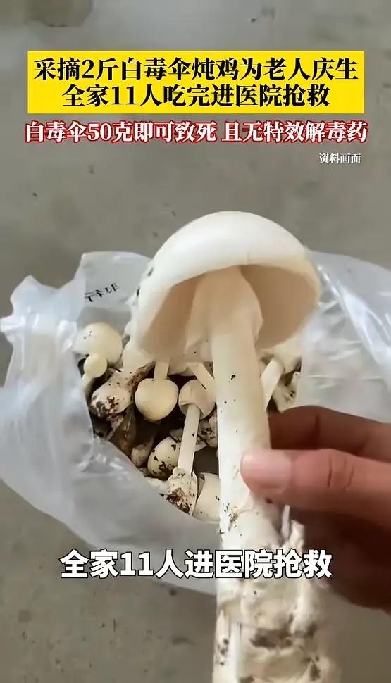 “悲剧还是发生了！”近日，广东惠州，一家属为给家中老人庆生，凭借着多年厨师经验上