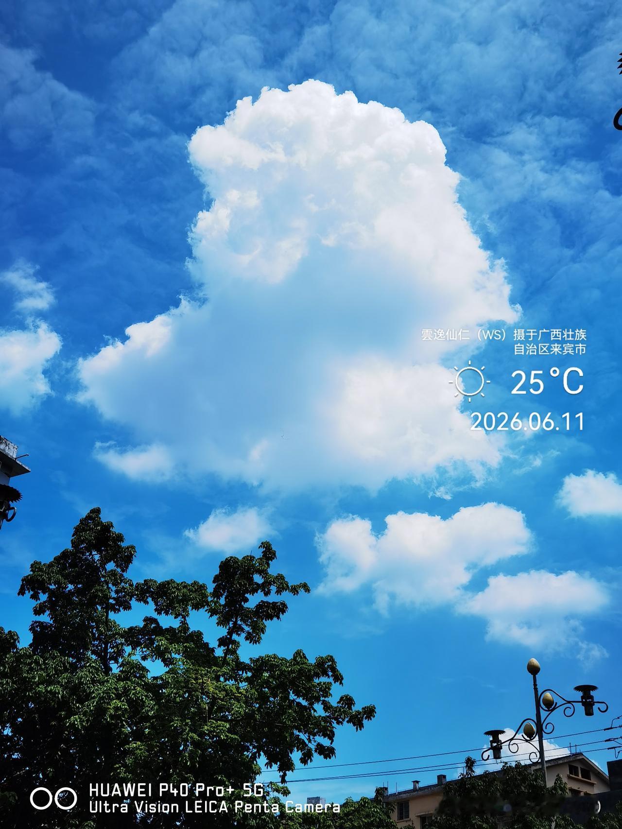 月居生活记录（9895）广西壮族自治区来宾市（120）：云画猴嘴、上藏龙王、多角