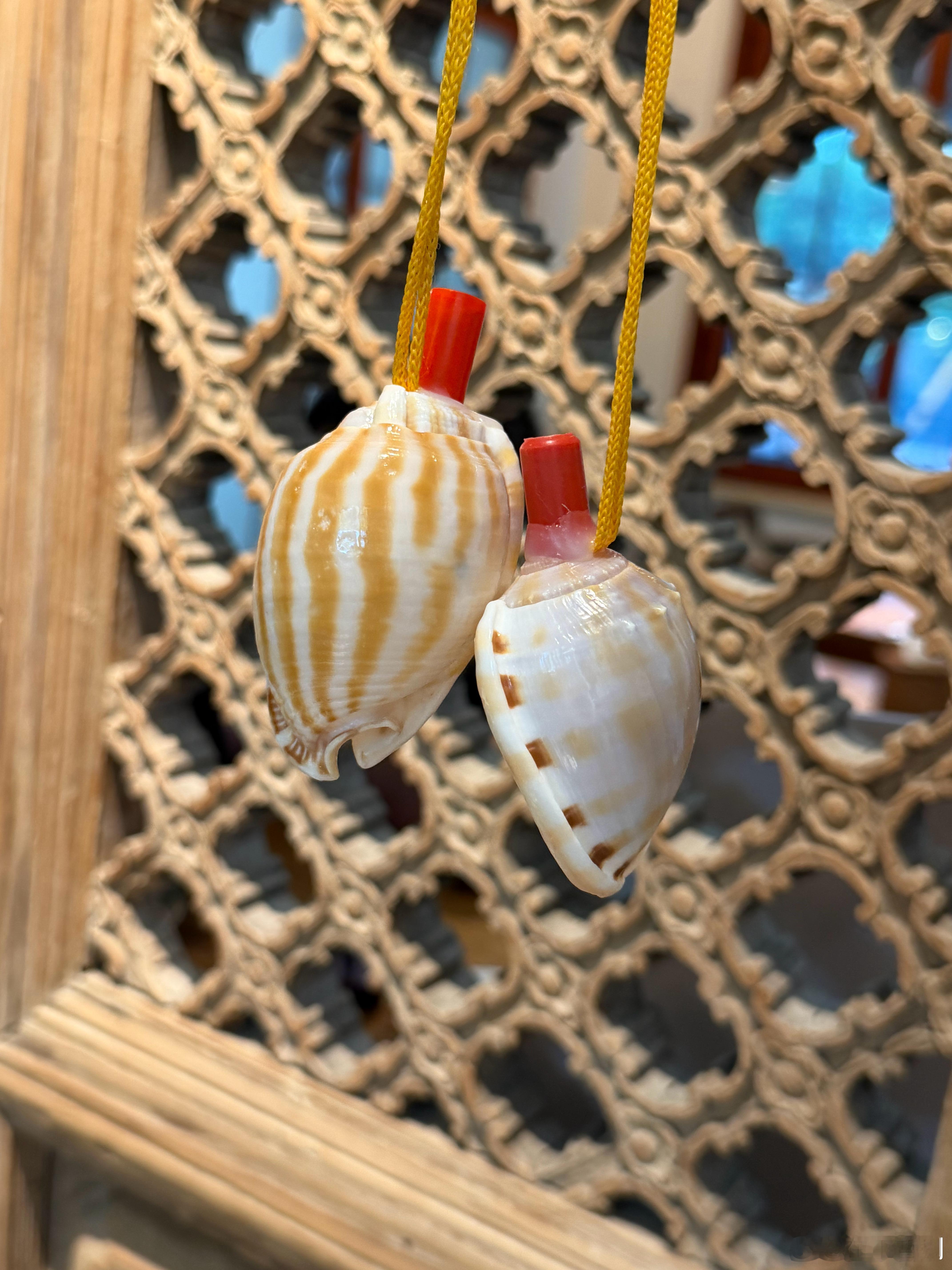 不多说了开始流浪🐚 