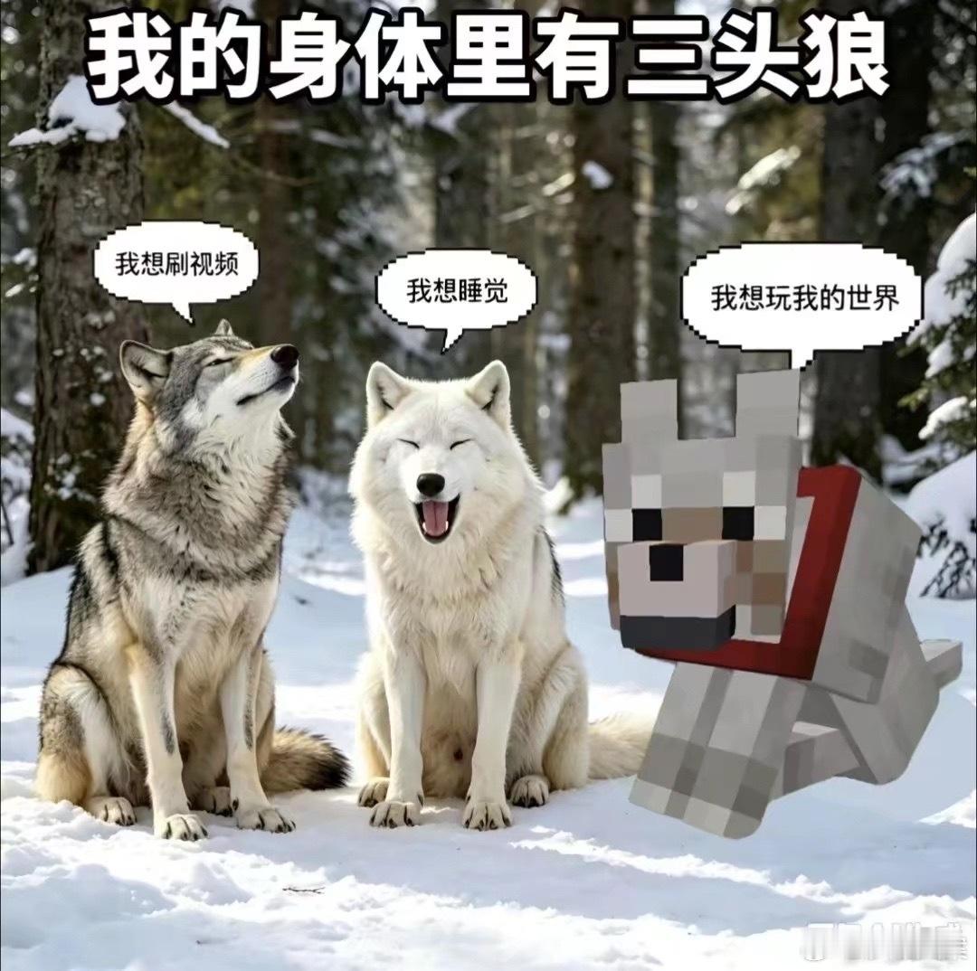 我每天 