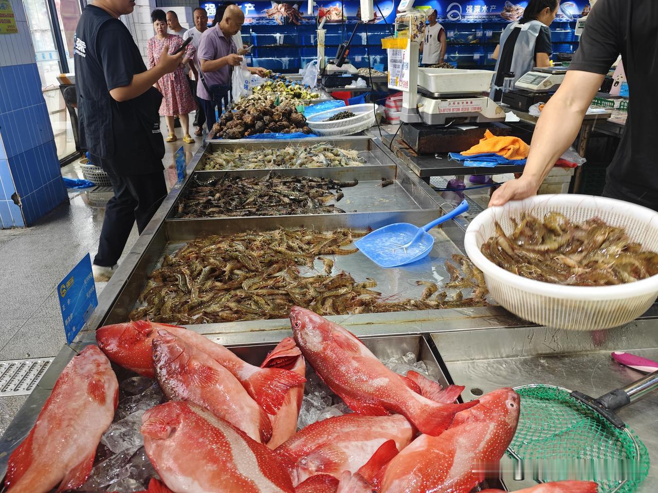 还没到7点，媳妇就喊我去水产超市，说是昨天晚上群里发通知了，大虾108元8斤，合