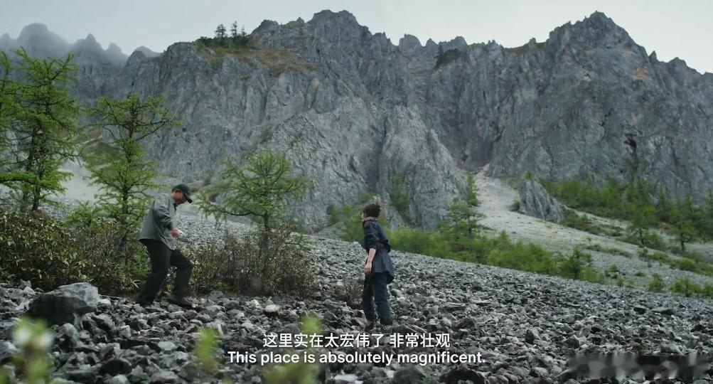 文咏珊和香格里拉的适配度 被文咏珊置身高原杜鹃花海的画面治愈！漫山杜鹃肆意盛放，