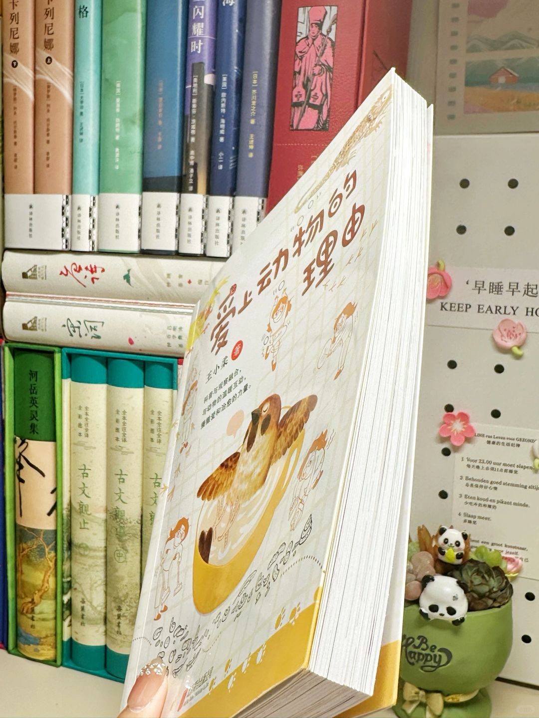 治愈解压🌿谁能拒绝这么有灵性的小动物啊！