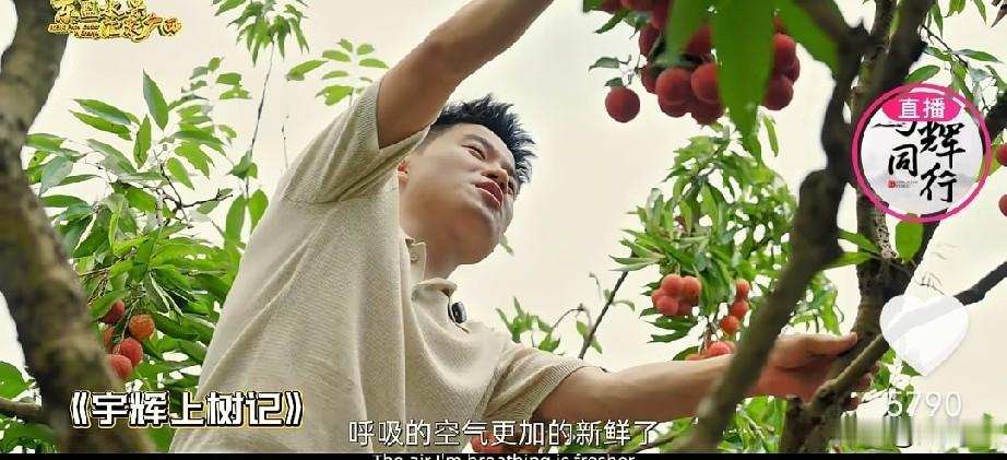 董宇辉参与录制的东盟水果宣传片，在广西商务厅和与辉同行都有播放，第一站是越南，与
