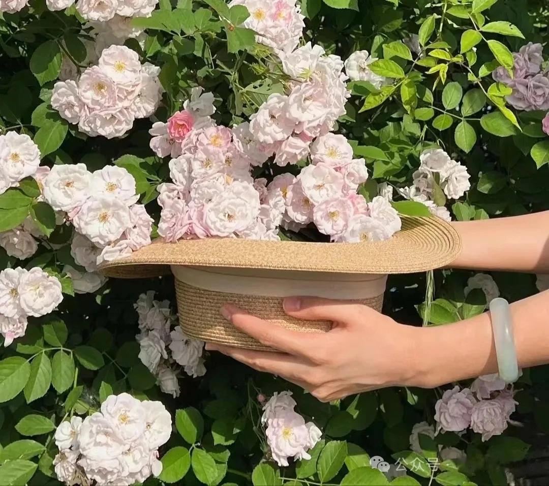 一个圆有360度，有的人非得在361度上找爱，那他永远找不到；
有的人有36度，