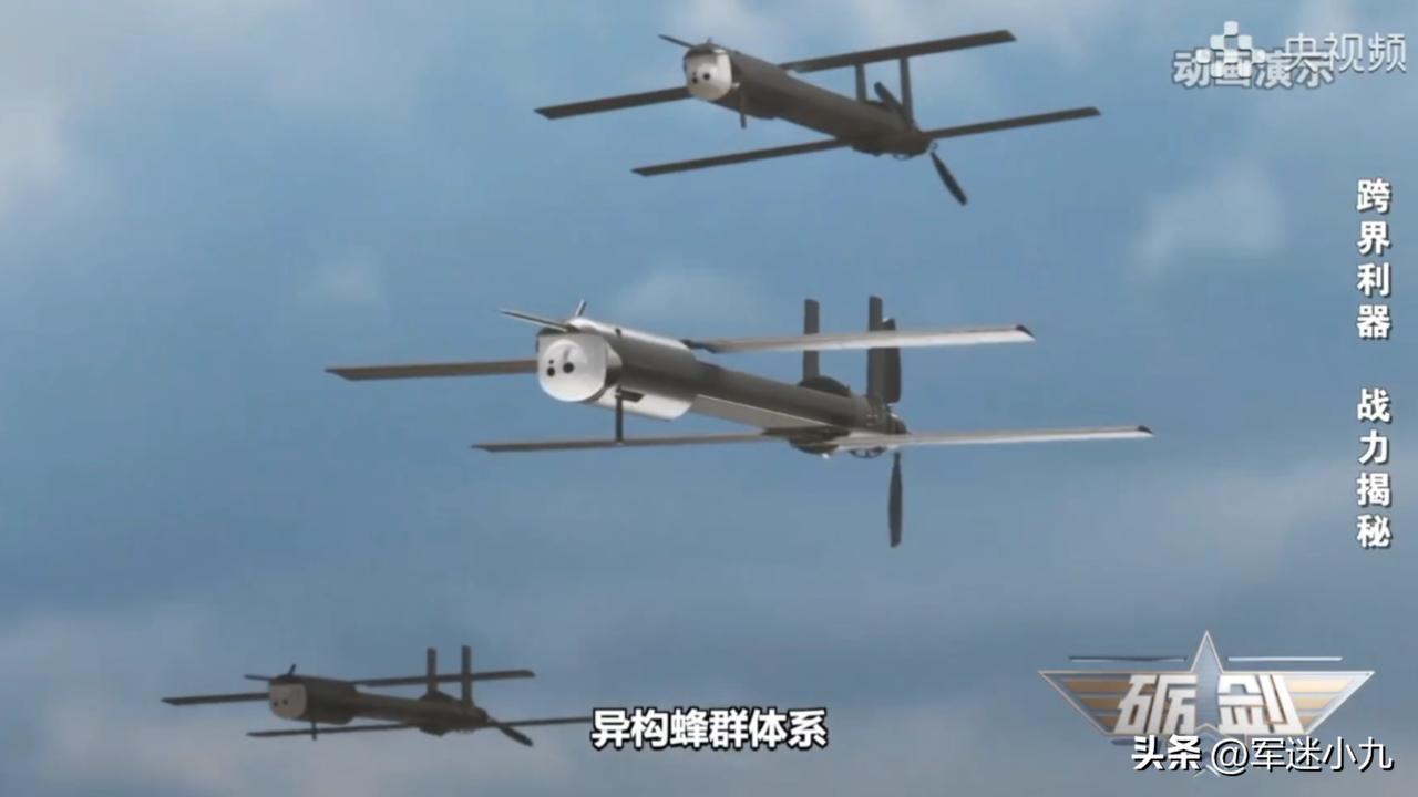 我国新一代巡飞弹，震撼亮相，打击画面公开！

真的没想到，飞龙60A巡飞弹，
战