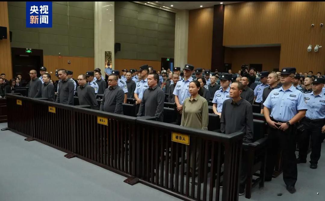 哇塞，太解气啦！今天浙江省温州市中级人民法院把明家犯罪集团案给一审公开宣判啦！明