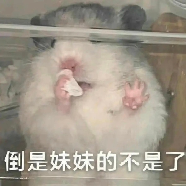 金晨道歉后为何仍被揪着不放没事吧，明明是非揪着网友说：信没信信没信 