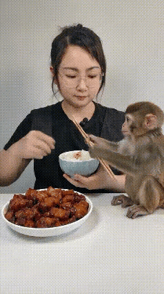 这么大了还喂，给它一双筷子