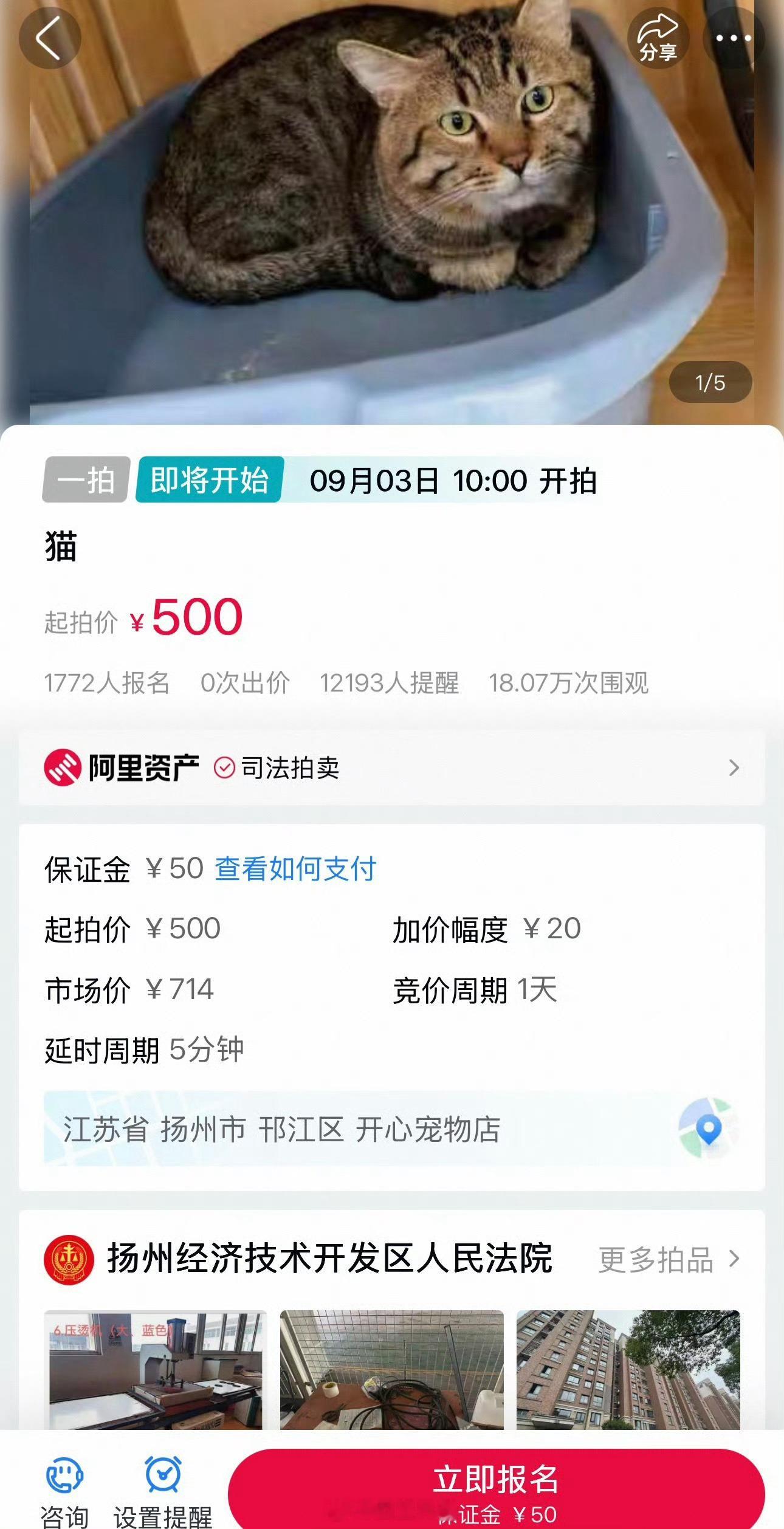 逛了下扬州的法院拍卖，居然狸花猫都有拍卖的[笑cry] ​​​