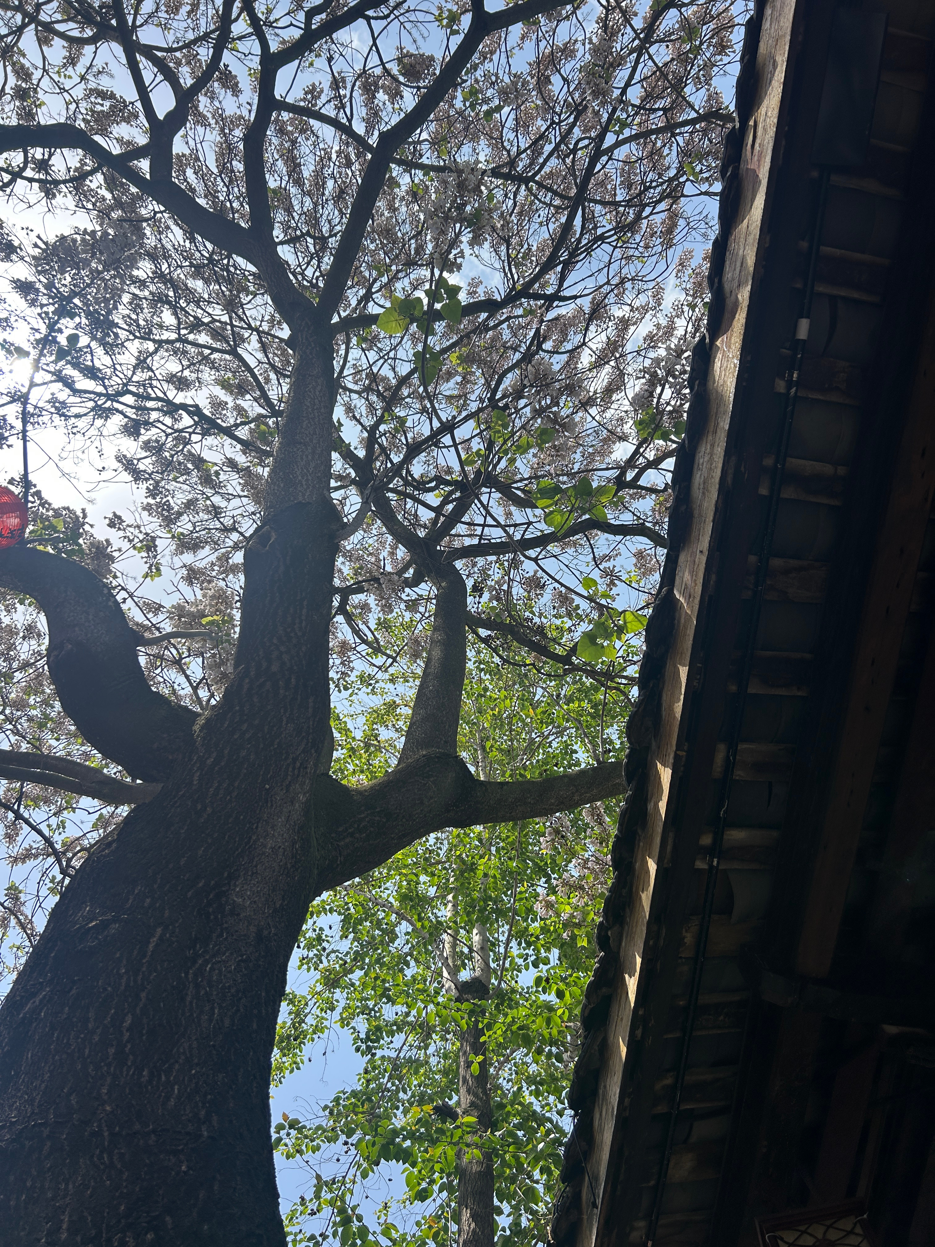 四月不能叫四月这哪是四月啊，直接改名叫六月算了。气温一路狂飙直奔30℃，太阳晒得