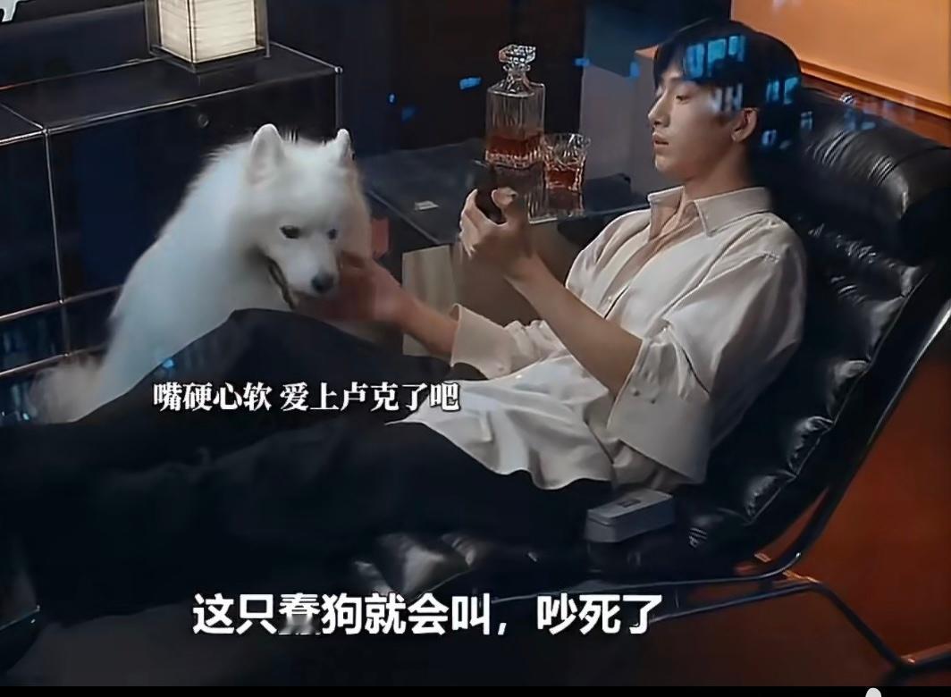 栾念不愧是当过妈的/栾念疼孩子这一块儿不愧是当过妈的人，栾念带孩子主打一个驾轻就