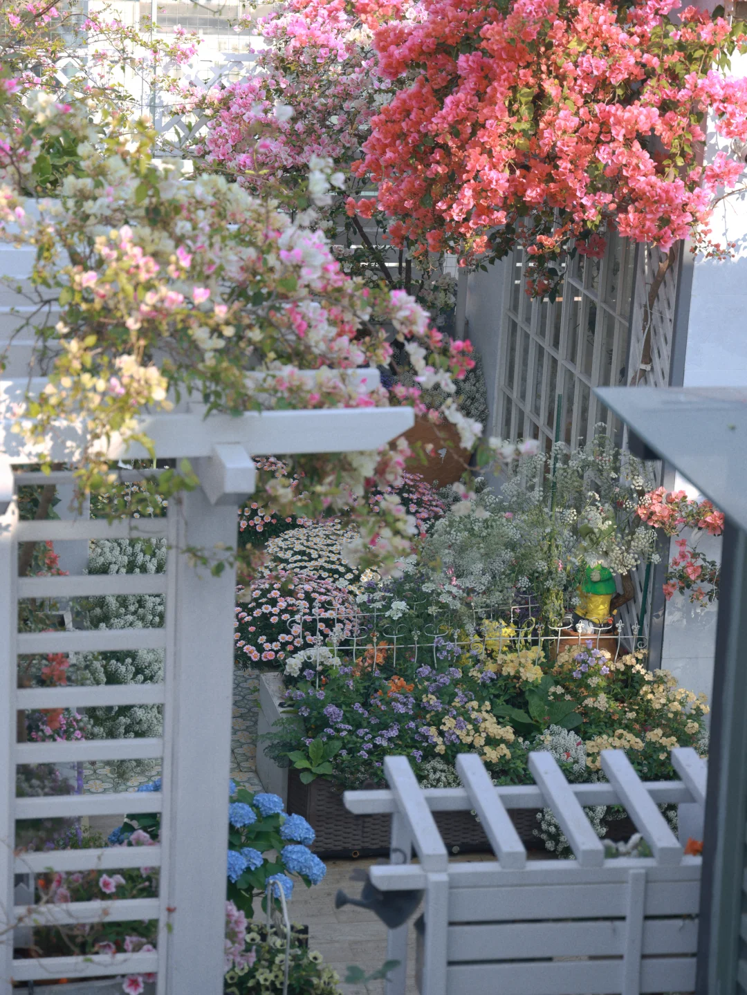 喜欢自己养的花，谁说外面花花世界迷人眼