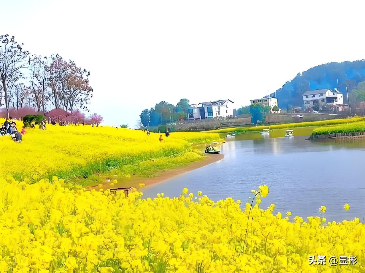成长是给春天最好的答卷

凌厉的霜雪
把生命裹得严严实实
冬天
宅是最好的选择
