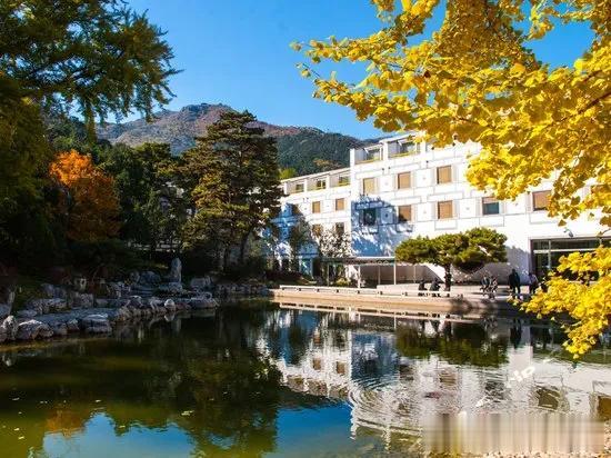 随着慢慢进入十月份，全国各地一幅幅绝美的秋日图卷也绽放在即：红叶、银杏....各