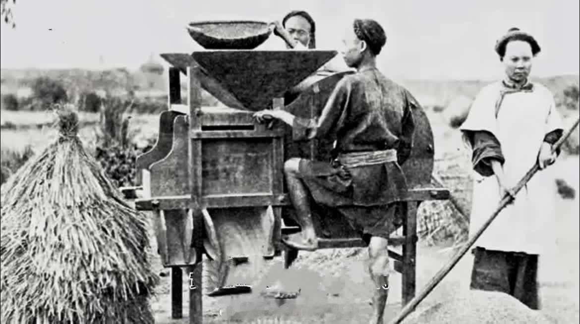 当年的现代化粮谷加工智能系统 