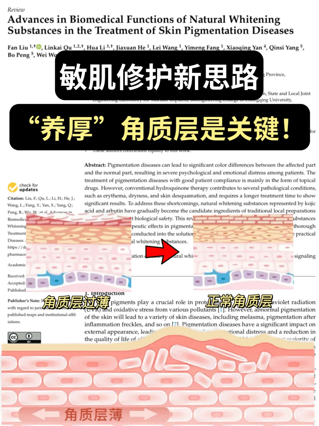 皮肤出现这些现象可能是角质层过薄！
