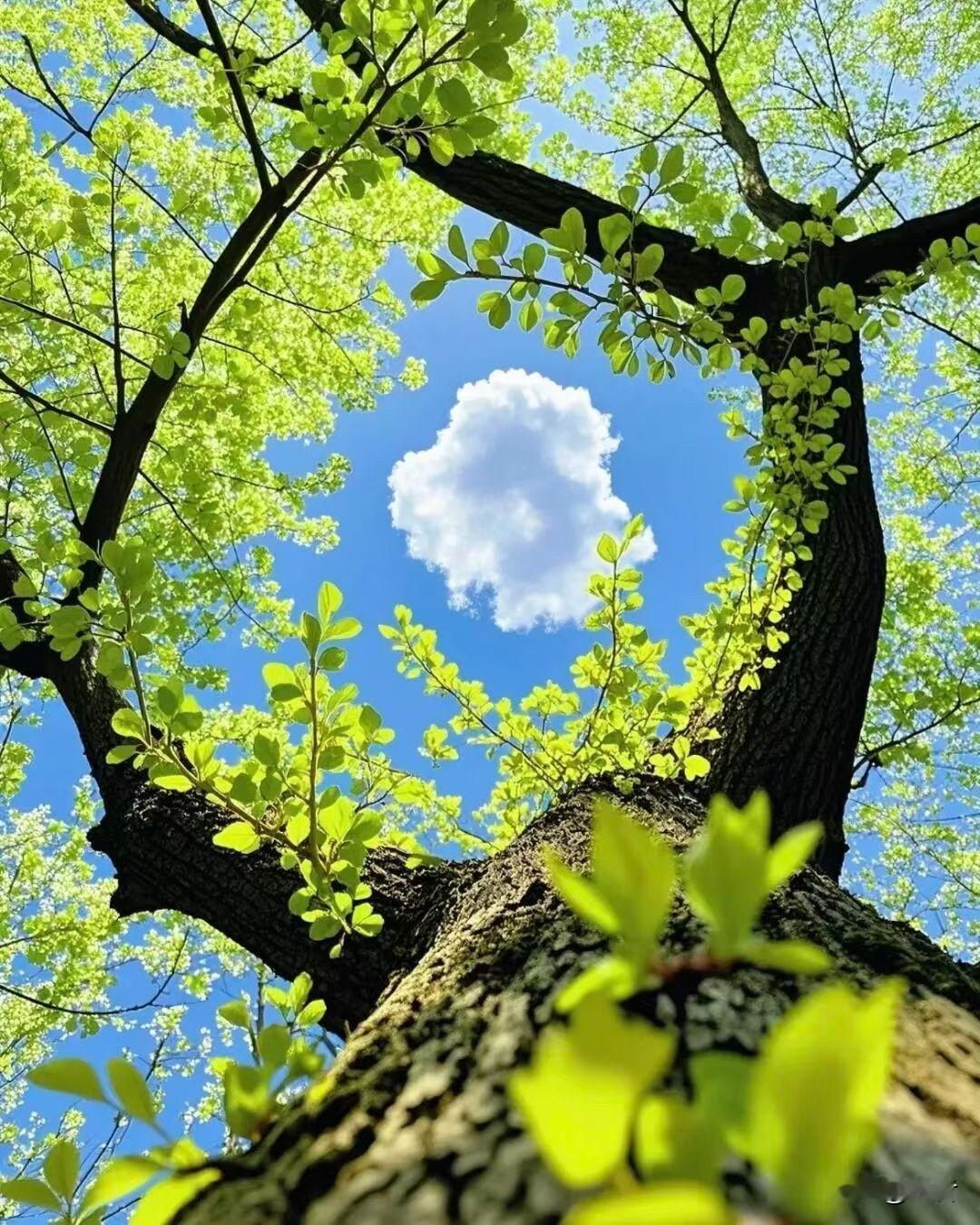 刚刚刷到：

想要让自己的生命更有质量，

就要有不断向上攀登的勇气，

也要有