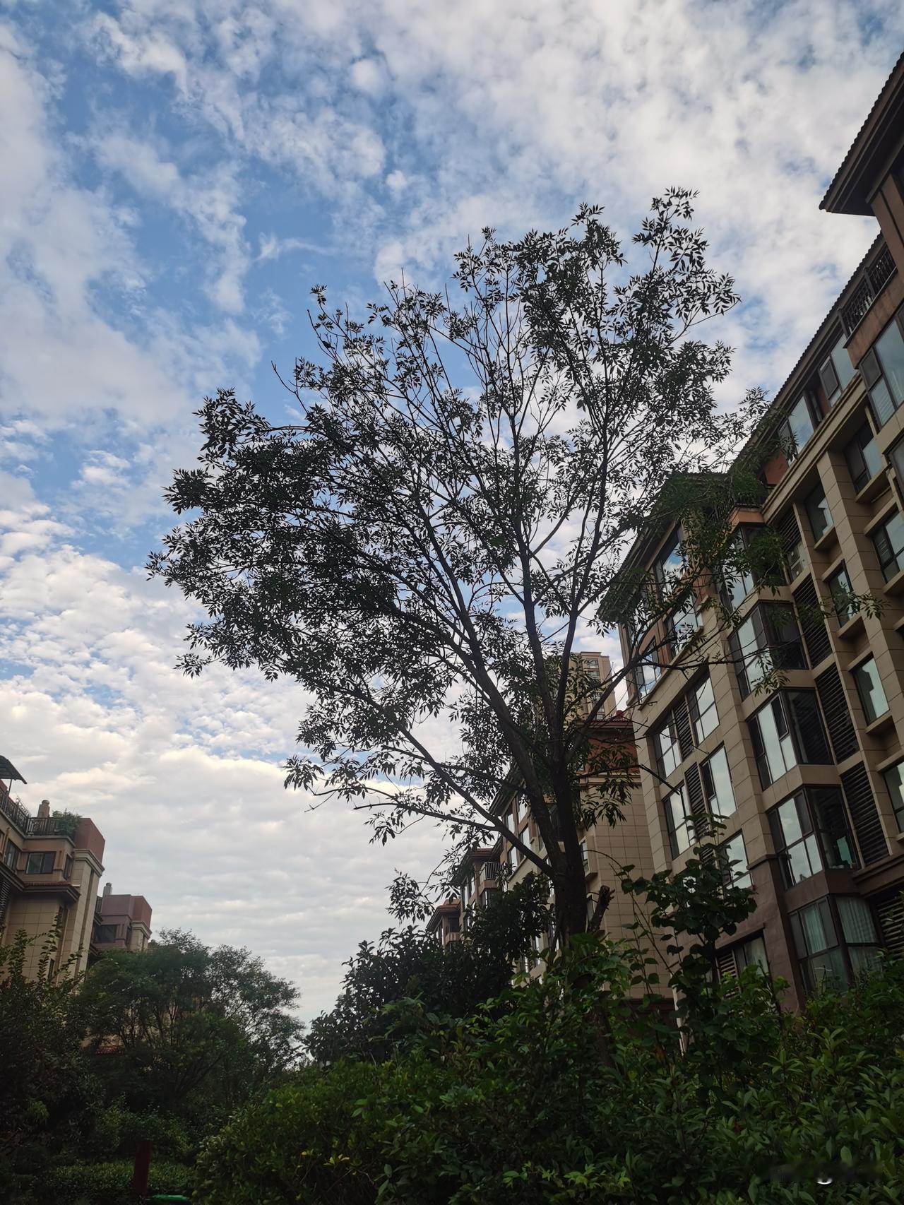 人生通透与顺遂，贵在主动清空。
扔掉透支的恶习，是养护身心；扔掉弱者的心态，是修