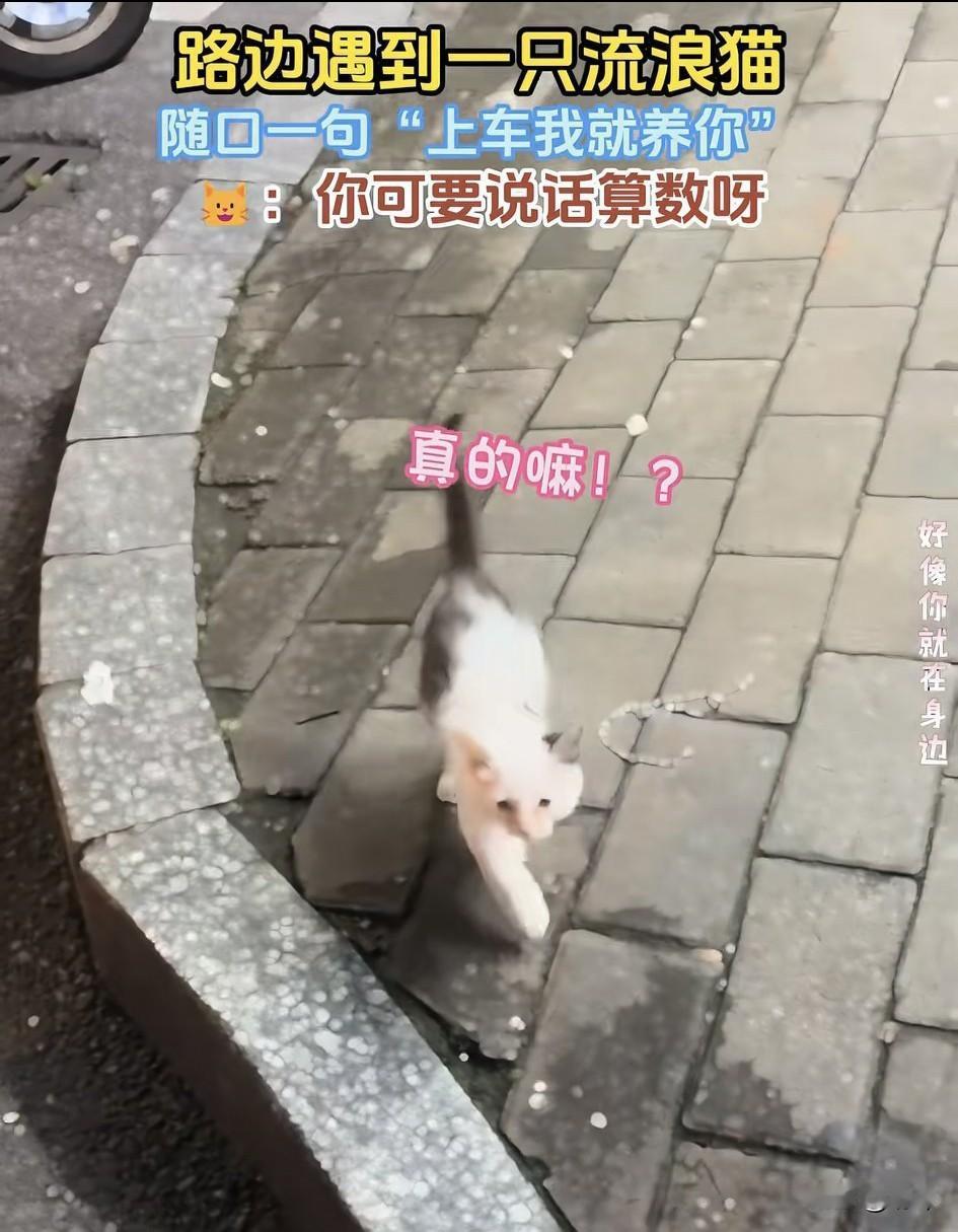 泪目了！这天夜里一位小姐姐骑着电动车去公园游玩，当她准备骑车回去的时候，突然看到