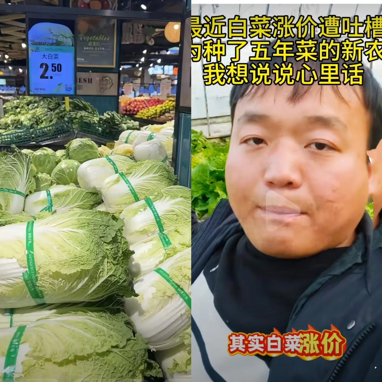 我的个乖乖！
大白菜终于翻身了！
原来一毛两毛一斤，
今年最低也是2块以上。
 