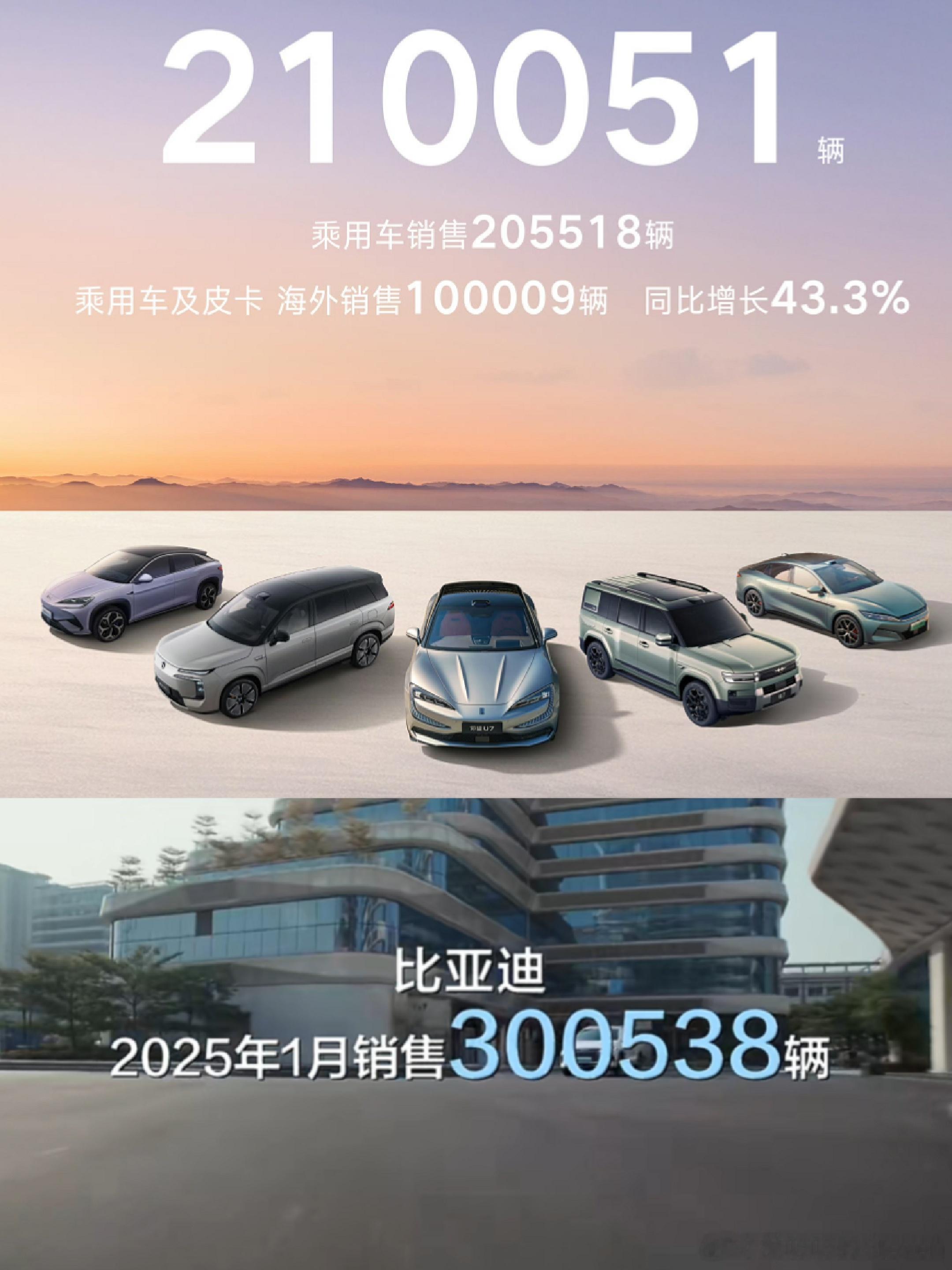 比亚迪被影响不少，25年1月300538台，26年1月210051台，同比少了3