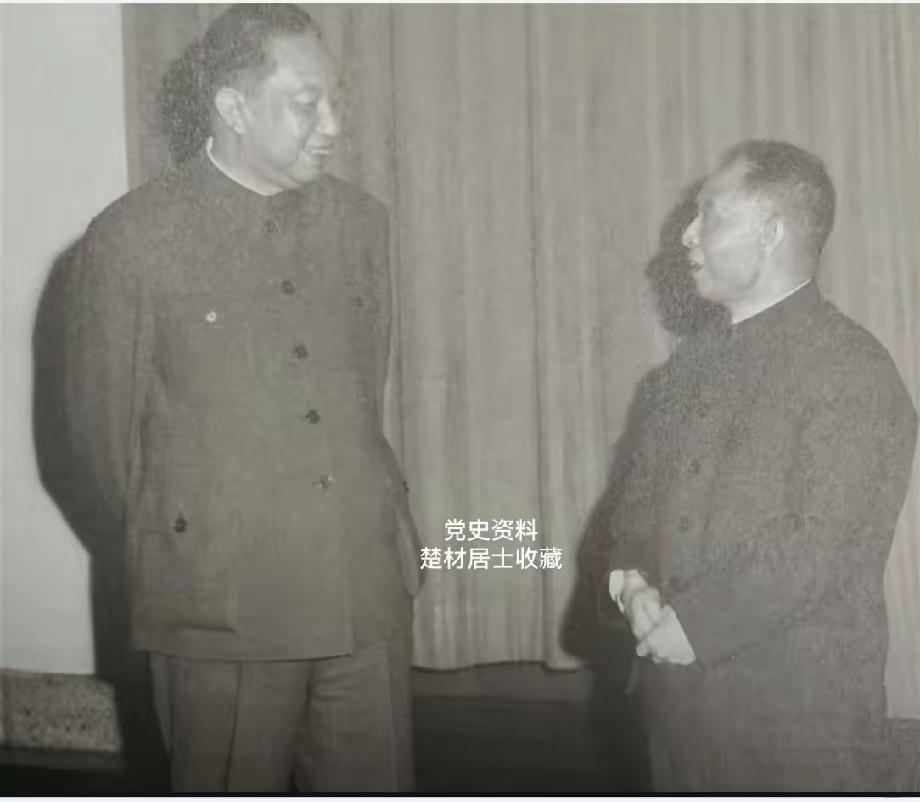 很珍贵的一张黑白照片，
这是华主席和谁的交流照？