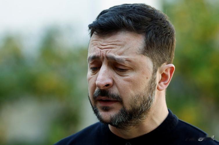 说实话了自己被挨打，泽连斯基吞真言了:武器弹药快打光了，合作伙伴给的根本不够用。