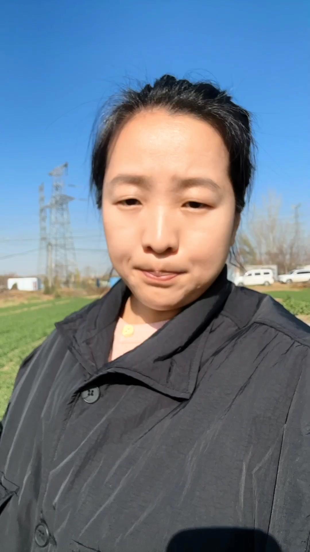 🍃今年温度偏高，白菜采收时机很关键，掌握这几点，储存时耐放不腐烂。

首先，可